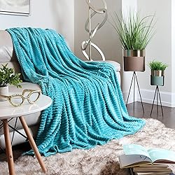 Clara Clark Cut Plush Blanket - Queen Size