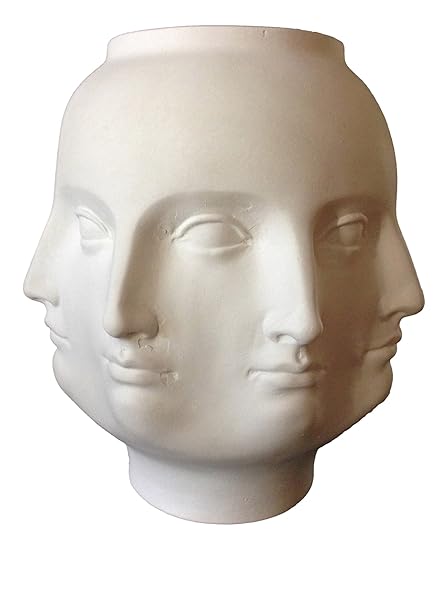 Faces Or Vases Best Vase Decoration 2018