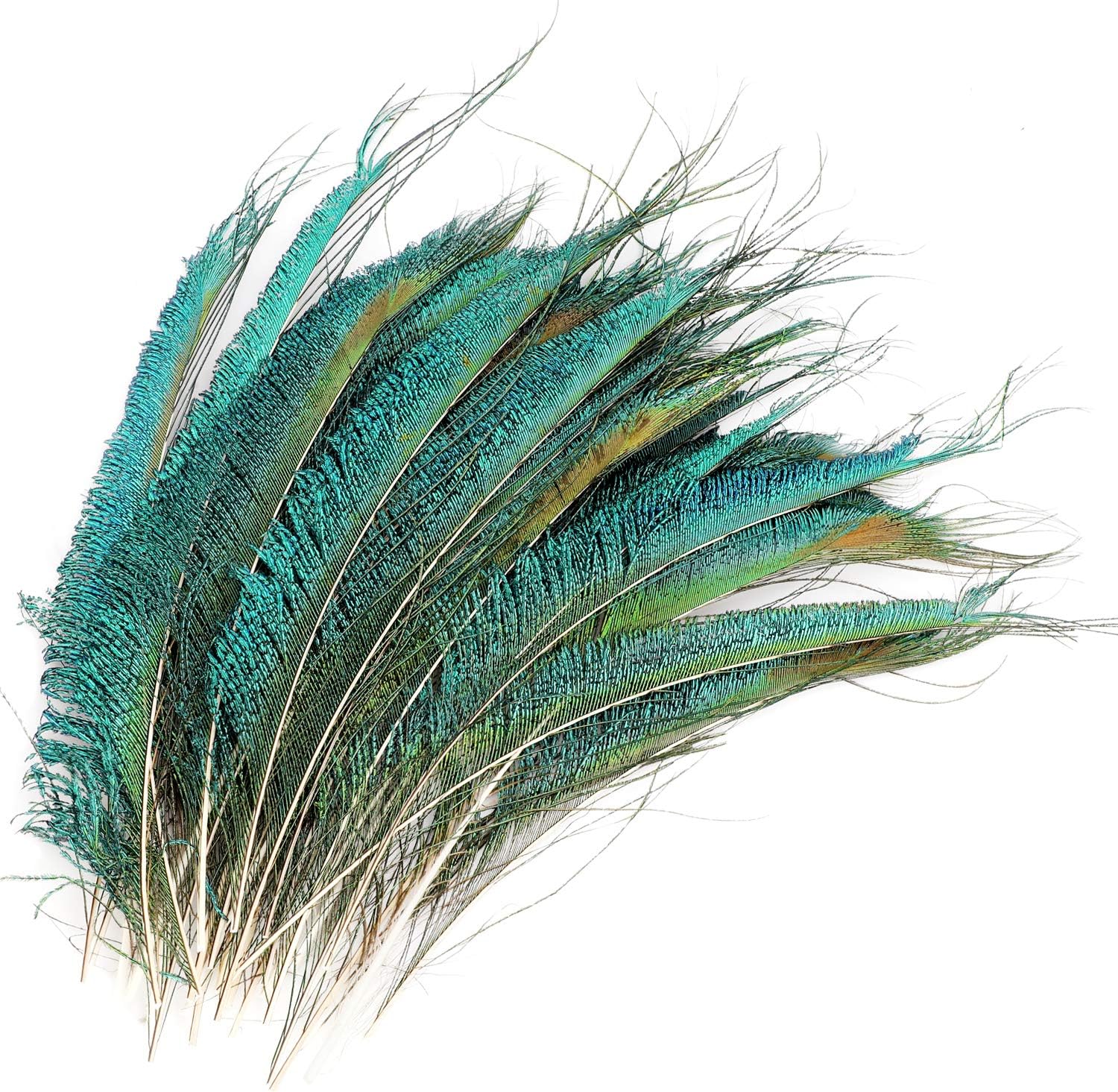 Mwoot 30pcs Natural Peacock Sword Feathers for DIY Craft,Costume,Wedding Holiday Party Decoration 10-14inch (25-35CM)