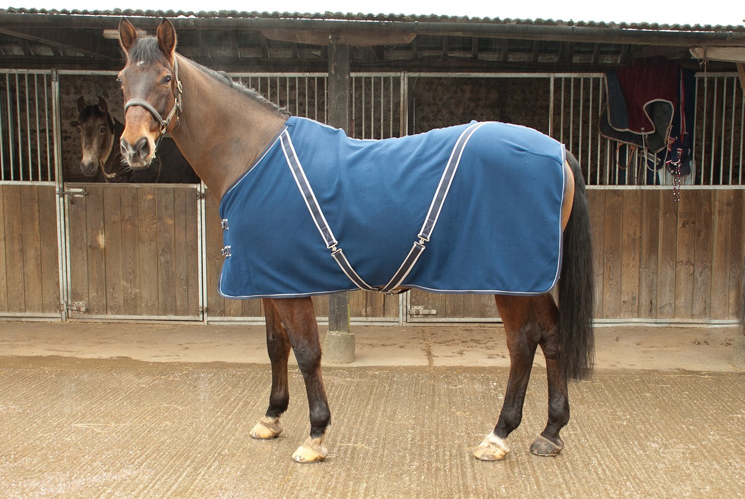 Rhinegold Comfey Fleece Rug - 6/6 - Navy
