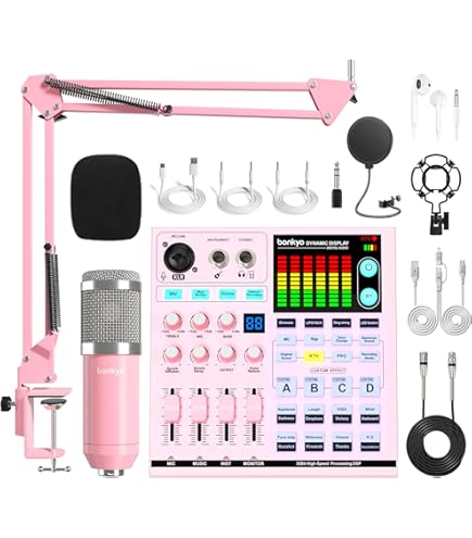 Amazon.com: Podcast Equipment Bundle: SN800 Mixer with XLR Mic