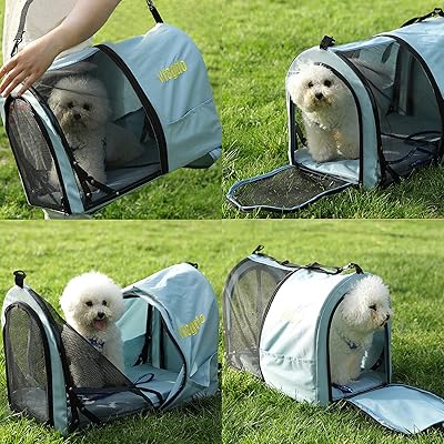 double dog carrier