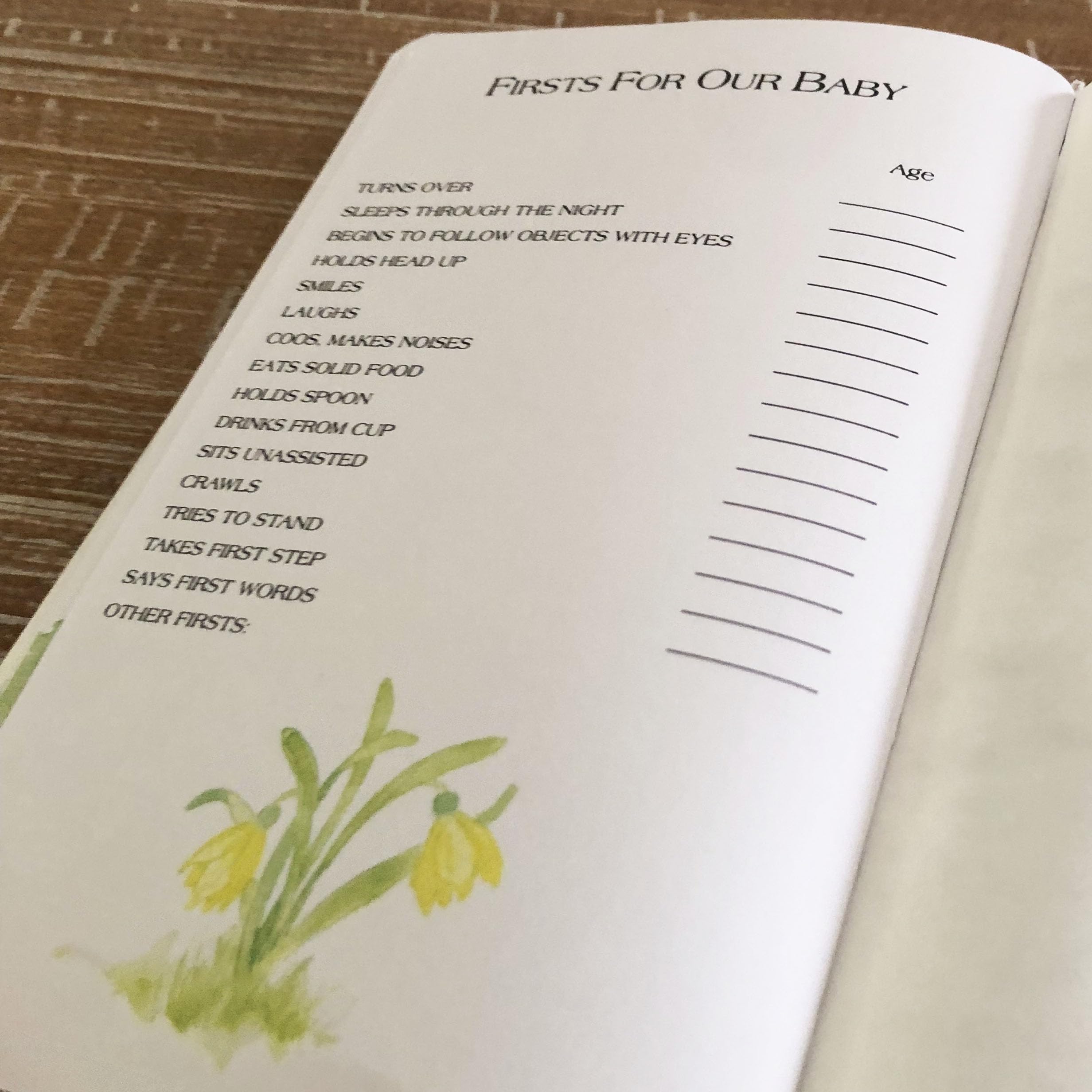 KJV Baby’s First Bible, Hardcover: Holy Bible King James Version