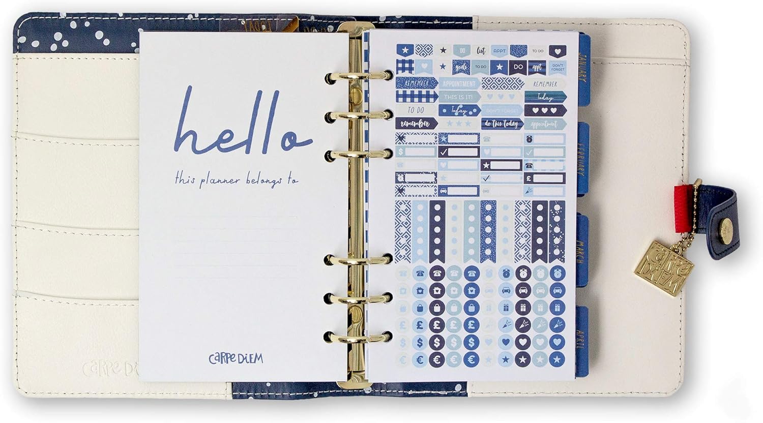 Pukka Pad, Carpe Diem Personal Planner with Weekly, Monthly Undated Inserts, 20 x 19 x 4 cm, Colour Wash, Color Wash, 8x7.5x1.4 inches - Image 5