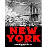New York in the 19th Century: A Dramatic Collection of Images