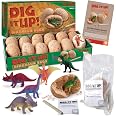 MindWare Dig It Up! Triceratops Excavation Kit - Dinosaur Fossil Digging Activity