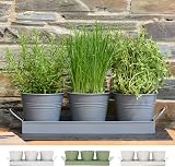 CKB LTD Set of 3 Metal Herb Pots with Drip Tray Charcoal Grey