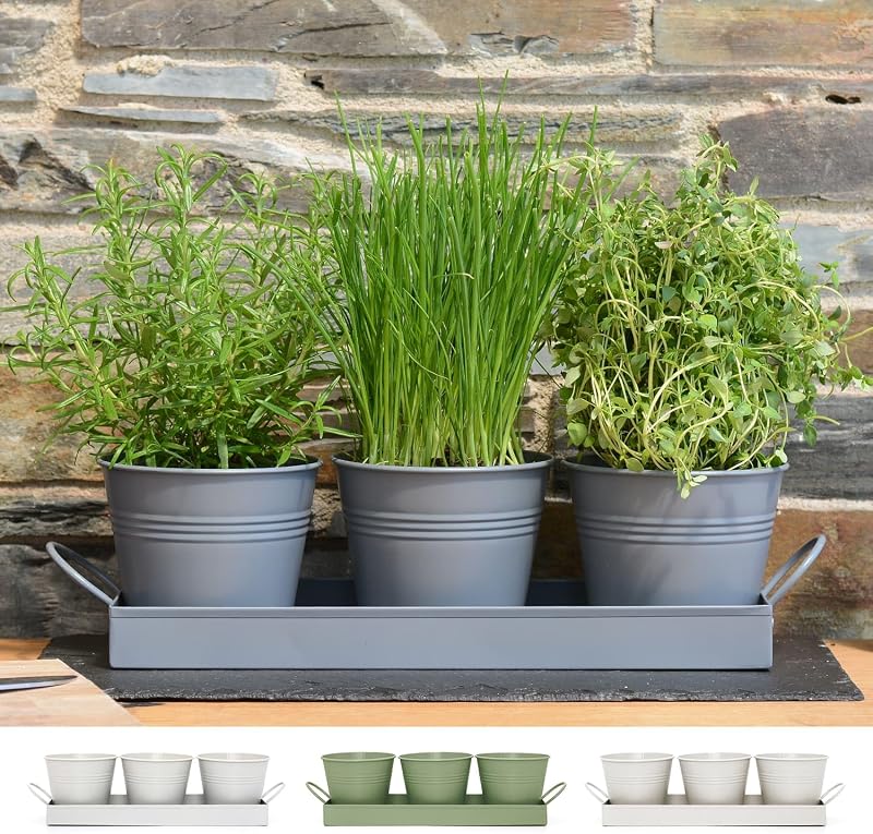 CKB LTD Set of 3 Metal Herb Pots with Drip Tray Charcoal Grey