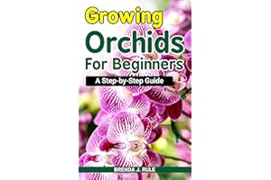 Growing Orchids For Beginners: A Step-by-Step Guide