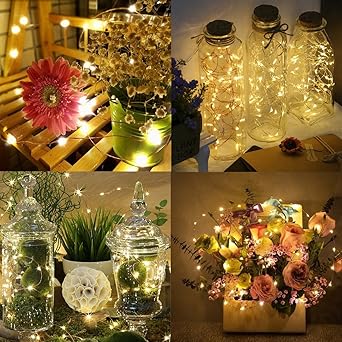 Lexton C5M-C-PK4 Copper String Light ⎹ 8M Fairy Lights for Home Decoration (Warm White)
