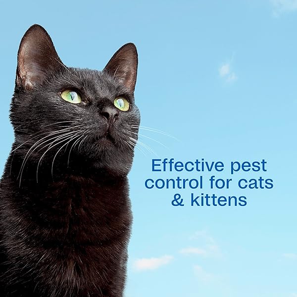 ADAMS PLUS FLEA & TICK FOAMING SHAMPOO & WASH FOR CATS & KITTENS OVER 12 WEEKS, SENSITIVE SKIN FLEA TREATMENT FOR CATS & KITTENS, KILLS ADULT FLEAS, TICKS AND LICE ON CONTACT, 10 OUNCES