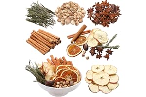 Knitgrip 1 Pack Christmas Potpourri Simmer Pot Simmering Potpourri Bowl Filler Xmas Simmer Pot Kit for Stove Dried Orange Apple Slices Cinnamon Sticks Stovetop for Xmas Decor