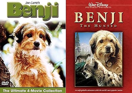 benji disney
