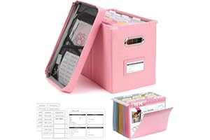 DOSTATNI School Years Organizer Kit K-12 School Years Memory Keeper with 15 Hanging File Folders Plastic 4 different Labels M
