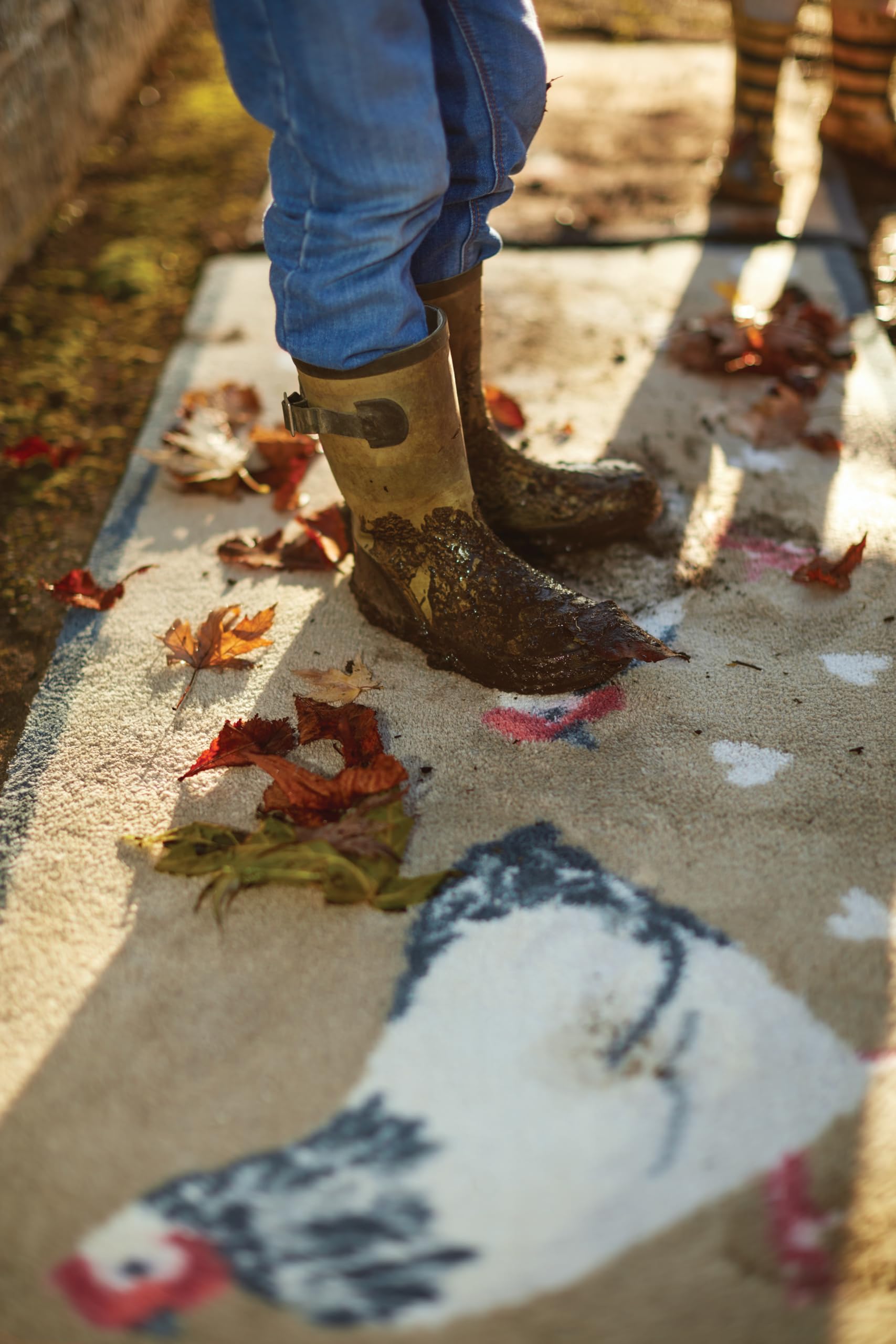 Hug Rug Chicken 1 Design Highly Absorbent Indoor Barrier Mat Machine Washable 65x85cm