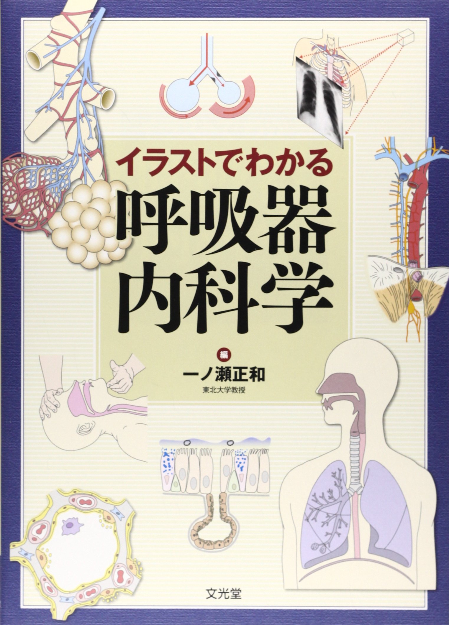 イラストでわかる呼吸器内科学 正和 一ノ瀬 本 通販 Amazon