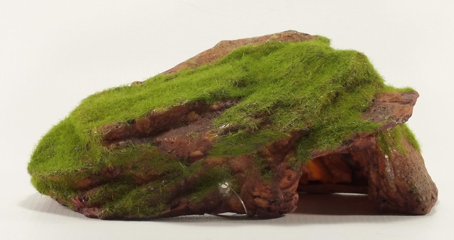 Moss rocks. бридский мох. валун с мхом. Pacific rock moss goldfield & banks australia. Rocks moss.