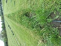 Review Image by Amazon Customer Amazon Customer