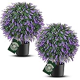 24" Artificial Lavender Trees Set of 2 – UV Resistant, Real Touch with Natural Wood Trunk, Potted Plants for Front Porch & Home Decor