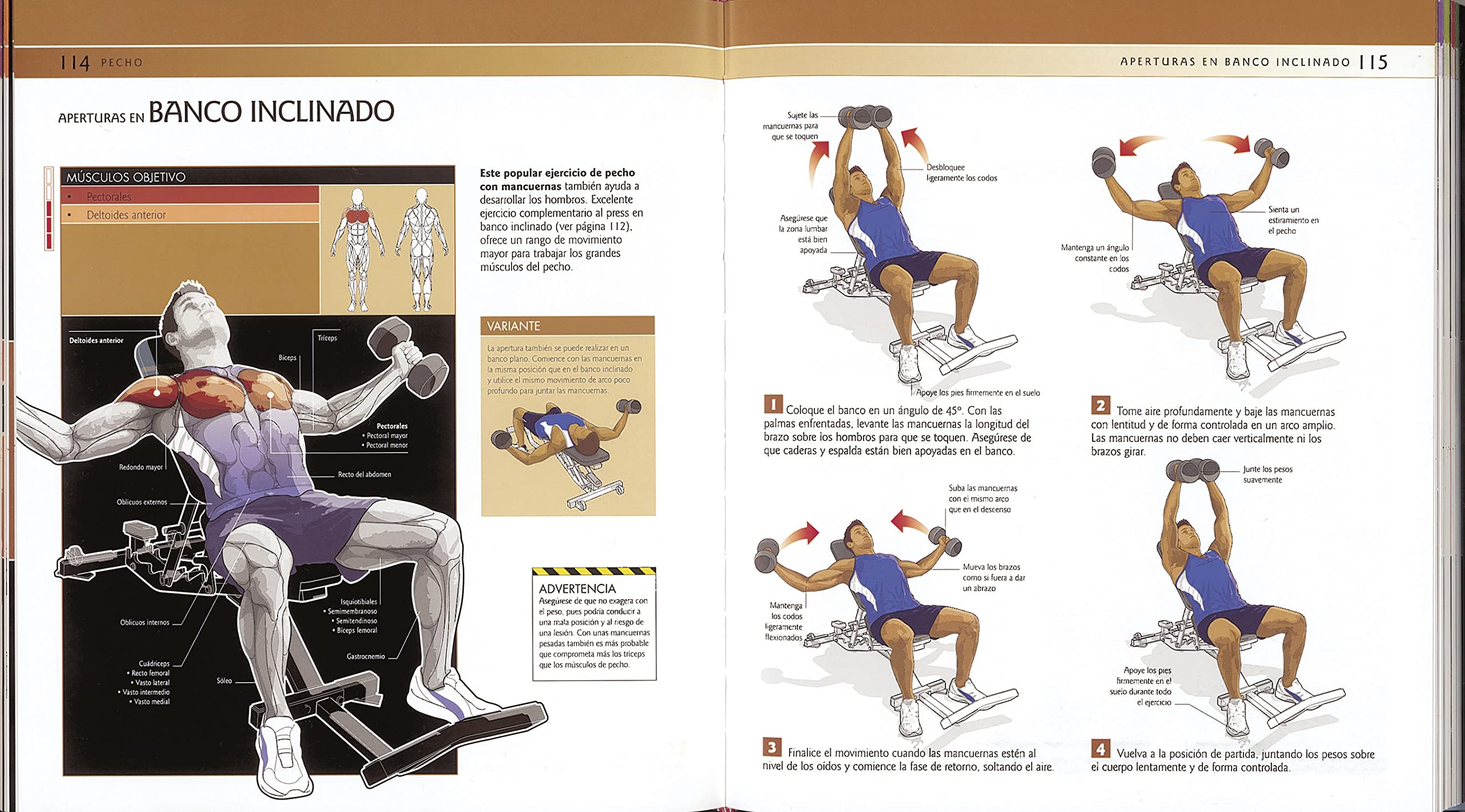 Ejercicios Para Biceps Femoral En Casa Amazon.com: Ejercicios para estar en forma (Spanish Edition):  9788467718997: Susaeta, Equipo, Susaeta, Equipo: Libros