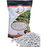 Pumice for Bonsai, Succulent, Cactus, Alocasia, Monstera, and Tropical Aroids | 2 Quarts Bag | 1/4&rdquo; Particle Size | The Bonsai Supply
