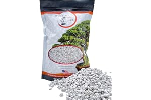 JK GLOBAL IMPORTS Pumice for Bonsai, Succulent, Cactus, Alocasia, Monstera, and Tropical Aroids | 2 Quarts Bag | 1/4” Particle Size | The Bonsai Supply
