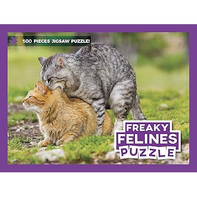 Chelyabinskda talabalikka kirish marosimi toliq jinsiy aloqa orgiyasiga aylandi.