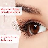 Ardell Multipack Wispies 113 False Eyelashes Medium Volume Long 5 Pairs view 5