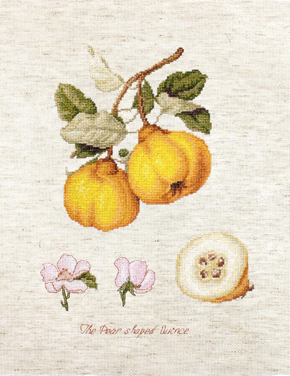 BA22430 The Pear Shaped Quince - Crossstitch Kit Luca-S