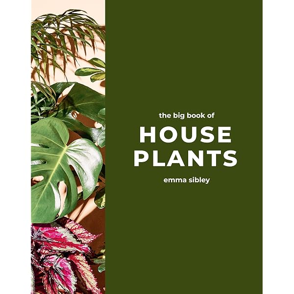 Ultimate Wonder Plants: Your Urban Jungle Interior: Schampaert