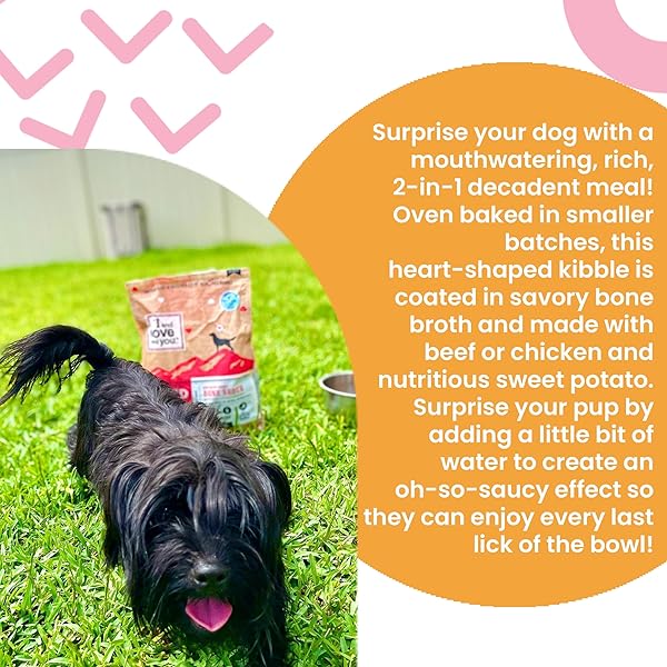 I AND LOVE AND YOU BAKED AND SAUCY DRY DOG FOOD – BEEF + SWEET POTATO – PREBIOTIC + PROBIOTIC, REAL MEAT, GRAIN FREE, NO FILLERS, 10.25LB BAG