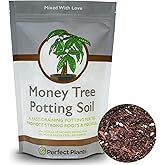 Perfect Plants Money Tree Potting Soil 2qt | Organic Coco Coir Based Plant Mix for Indoor Trees | Quickly Grow Your Indoor Forest (2qts.)