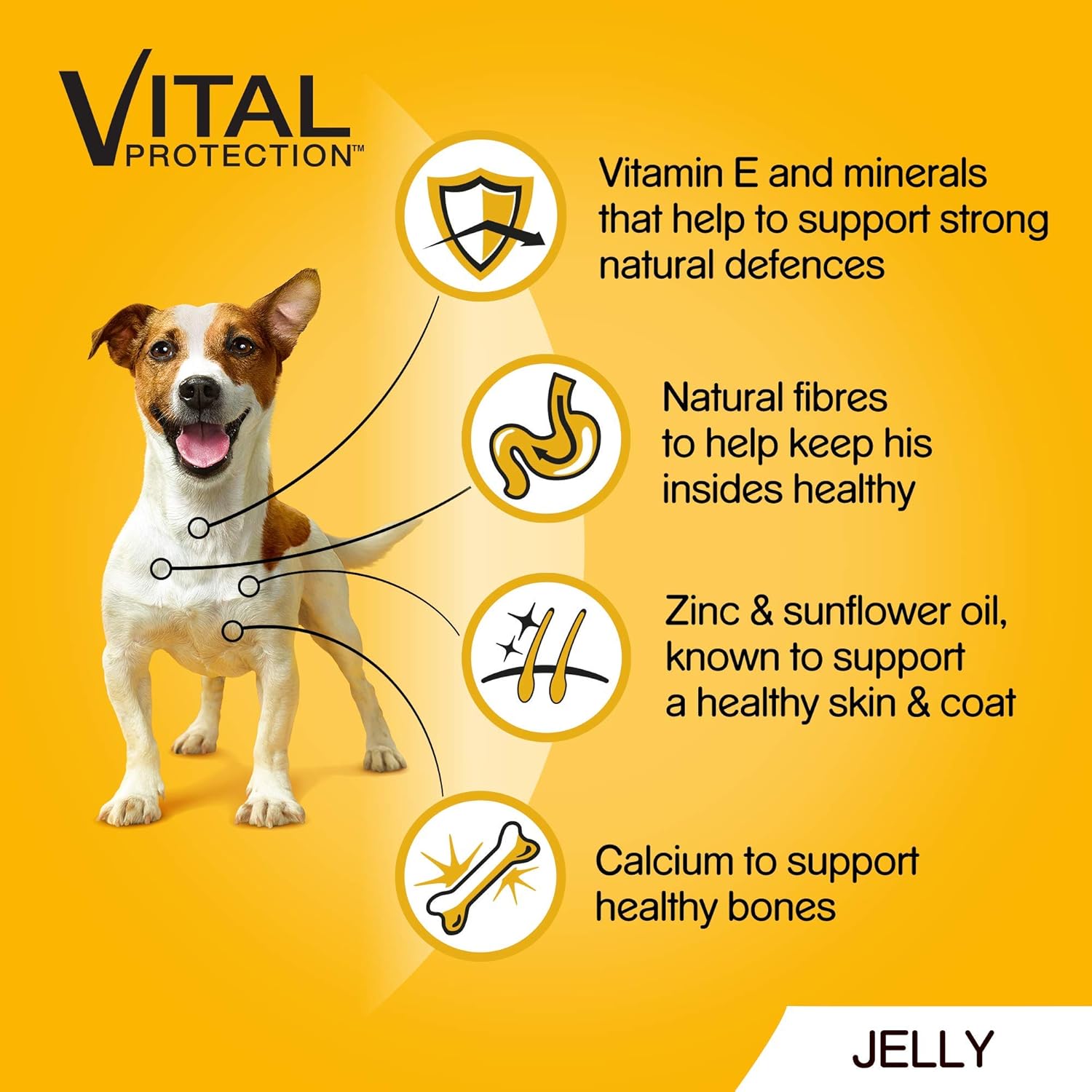 Pedigree Adult Dog Wet Food in Pouch, Mixed Selection in Jelly, 40x100g, 4 kg (Pack of 1) - Image 5