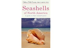 Seashells of North America: A Guide to Field Identification (Golden Guides from St. Martin's Press)