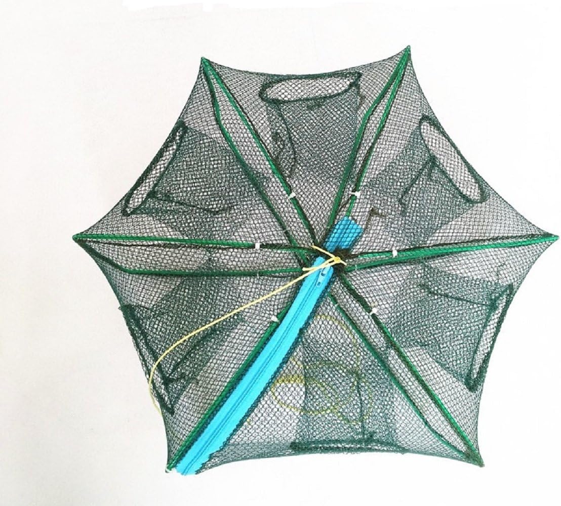Portable Folded Fishing Net Fish Shrimp Minnow Crayfish Crab Baits Cast Mesh Trap Automatic, Easy Use Hexagon 6 Hole Cage Crab Fish Minnow Crawdad Shrimp (Foldable 2550cm) : Sports & Outdoors