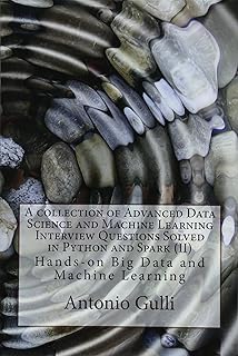Data Science Interviews Exposed Yanping Huang Jane You Iris