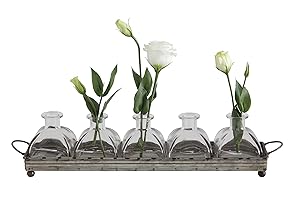 Creative Co-op Decorative Iron Rectangle Tray with Handles & 5 Glass Vases