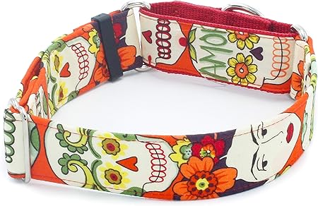 frida dog collar