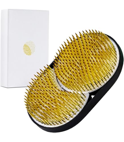 筆記具 ike Amazon.com: Wazakura Made in Japan Ikebana Tool Kit