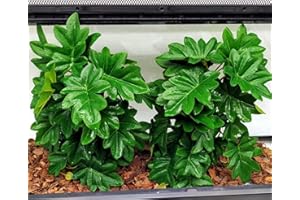 FLMOVING Reptile Plants for Terrarium, Amphibian Habitat Decor Artificial Hanging Plants with Suction Cup, Artificial Plants for Gecko Chameleon Snake Tortoise Tank Accessories. 2-Pack(Philodendron selloum)