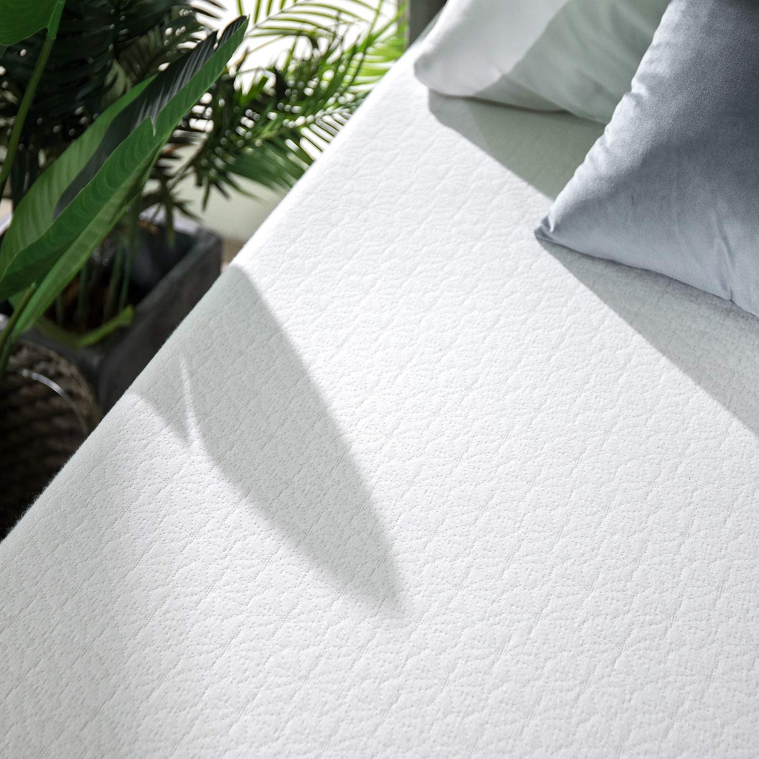 Zinus 12 Inch Green Tea Memory Foam Mattress / CertiPUR-US Certified / Bed-in-a-Box / Pressure Relieving, Queen: Furniture & Decor