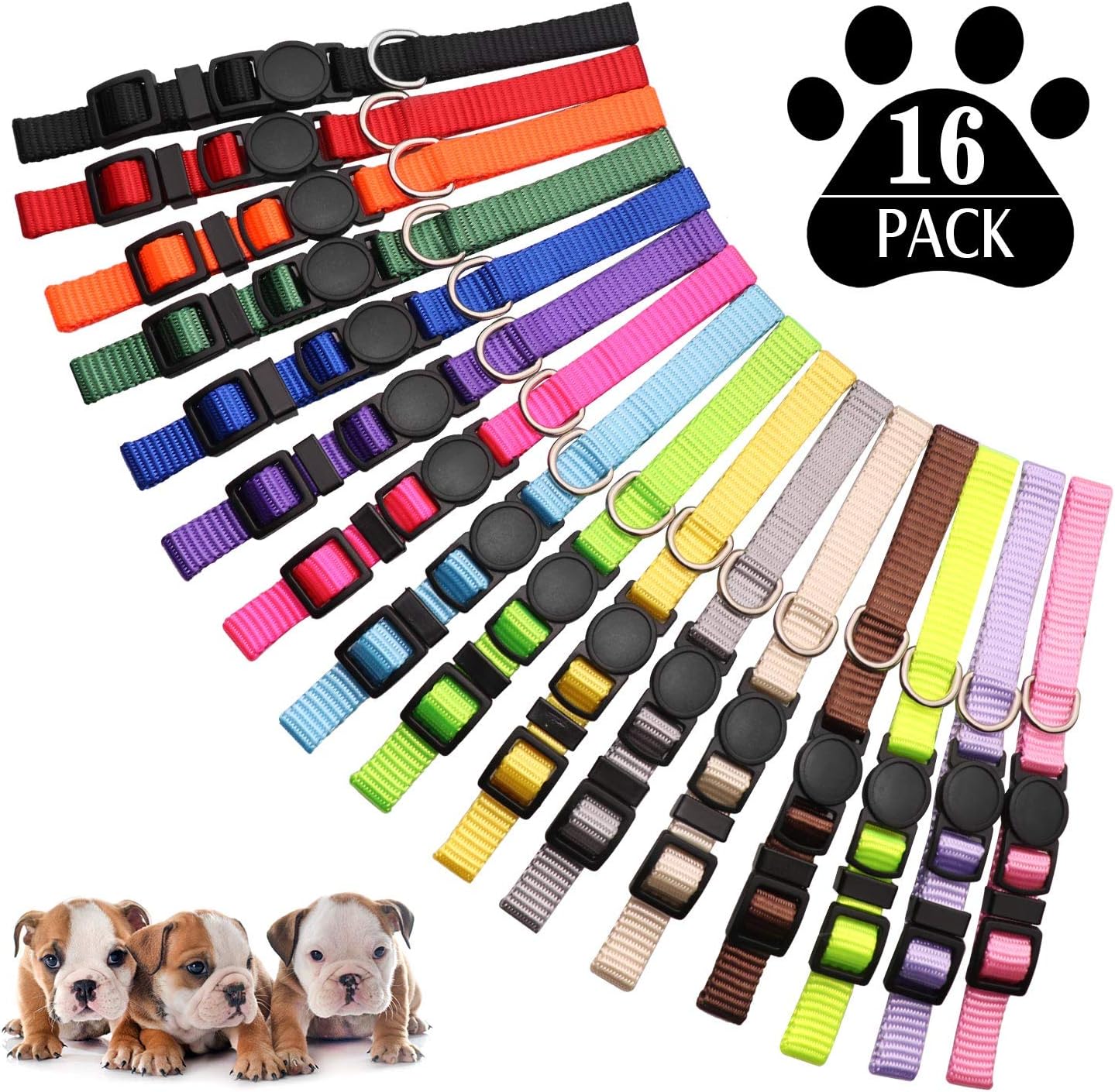 single dose cat vaccines