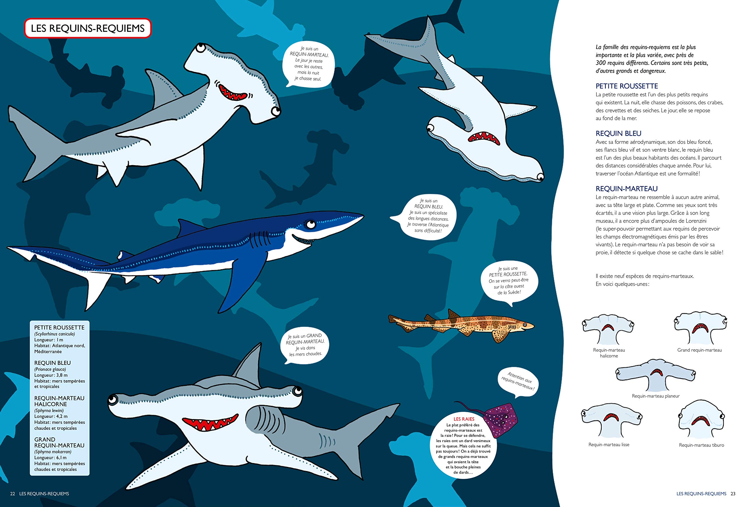 Requins Amazon De Sheppard Sarah Gnaedig Alain Fremdsprachige Bucher