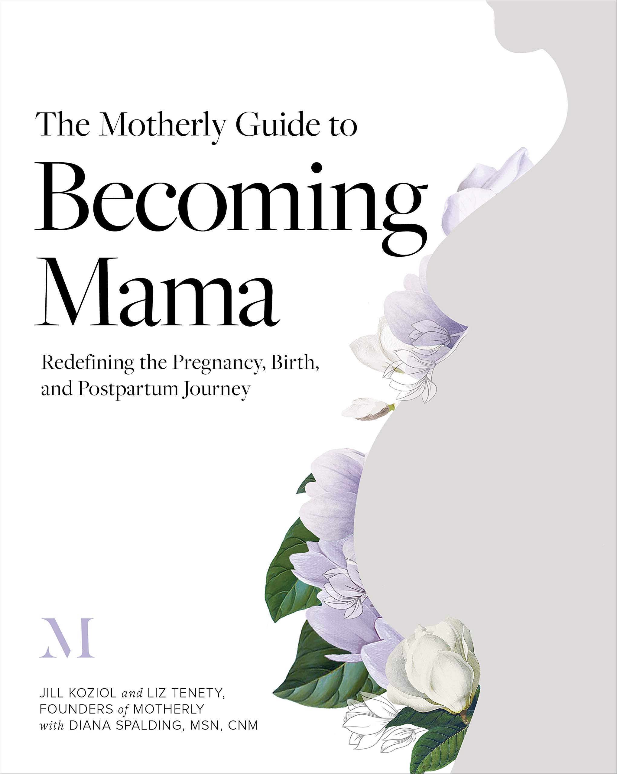 The Motherly Guide to Becoming Mama: Redefining the Pregnancy, Birth, and  Postpartum Journey