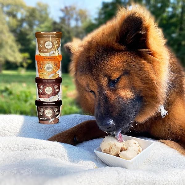 HOGGIN DOGS ICE CREAM MIX – ADD WATER AND FREEZE, ALL NATURAL, NO SUGAR ADDED, MADE IN USA BY PUPPY CAKE 4 PACK PUMPKIN, BACON, PRIME RIB AND PEANUT FLAVORS, 2.32 OZ X 4