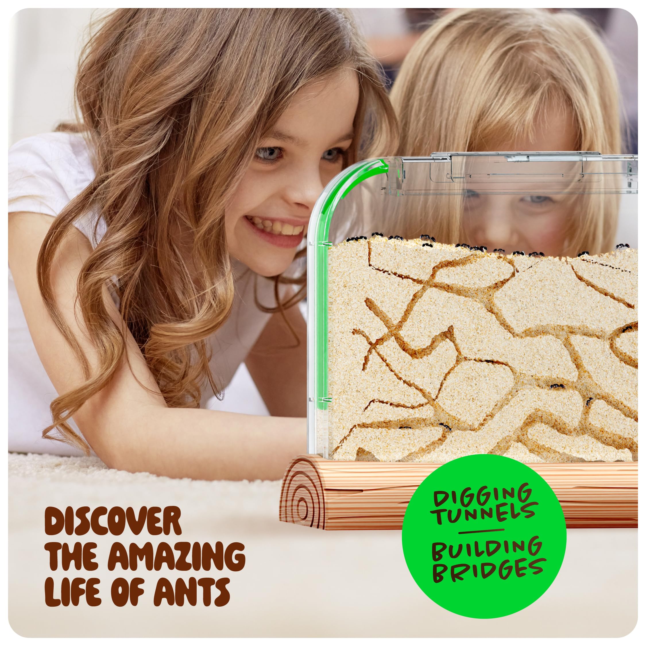 Dan&Darci Ant Farm Kit for Kids - Farms Colony - Includes Ants Voucher - Sand Habitat Kits - Bug Terrarium House - Educational Science Gifts for Kid - Nature Learning Toys for Boys, Girls & Adults
