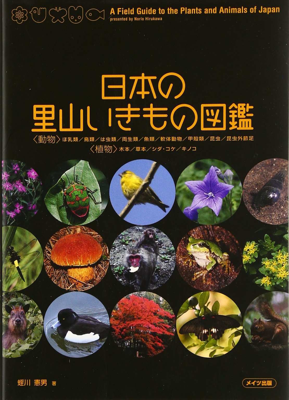 日本の里山いきもの図鑑 Amazon Com Books