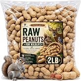 Office Roast Raw Peanuts in Shell 2 lb Bag &ndash; Unsalted, Natural &amp; Healthy Snack &ndash; Plain Peanuts for Squirrels, Birds &amp; Wildlife Feed