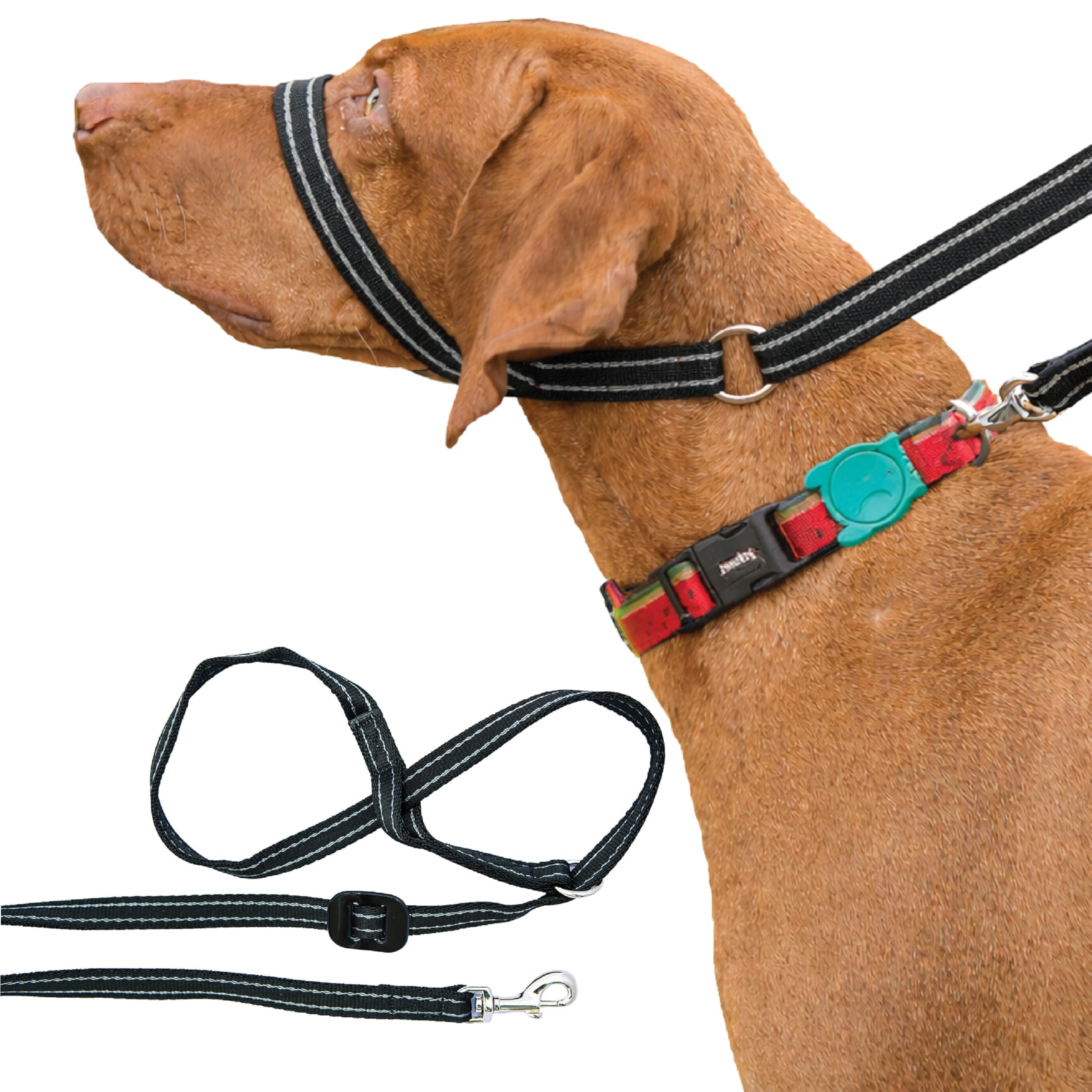 Gencon - Clip-to-Collar Dog Headcollar and Lead - Trainer Approved - One Size Dog Training & Behaviour Aid - Soft & Gentle Design with Trigger Clip - Right - Made in Britain - Black/Silver