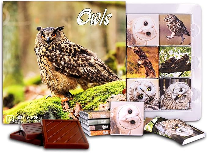Amazon Da Chocolate キャンディ スーベニア フクロウ Owls チョコレートセット 5 5一箱 Smile Da Chocolate 製菓用チョコレート 通販